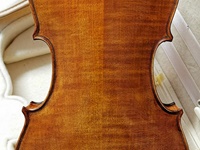 Violine Geige Carpathia "Pro"