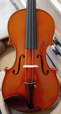 Meistervioline Violine Geige Lelio Pan Stradivari
